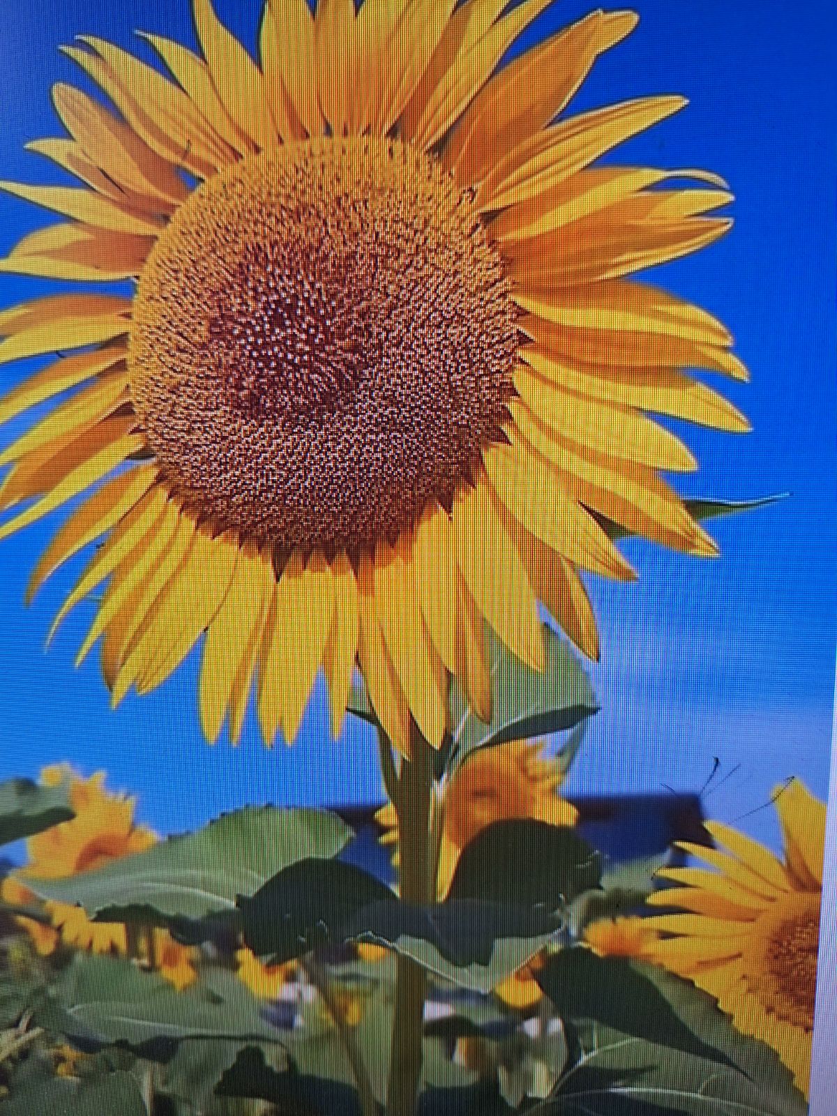 최우현 추가 이미지 4