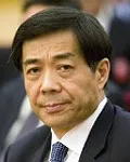 공무원인 보시라이의 대표 이미지