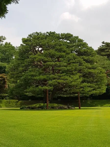 감독, 제작/기획, 편집인 황혜온의 대표 이미지