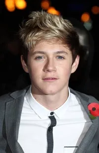 가수인 나일 호란의 대표 이미지