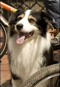 영화배우인 코피의 대표 이미지