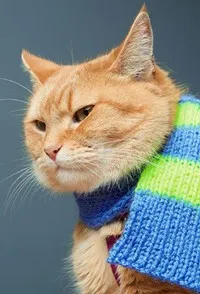 영화배우인 밥의 대표 이미지