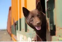 영화배우인 코코의 대표 이미지