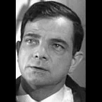 배우인 피터 아네의 대표 이미지