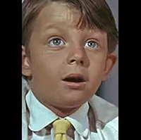 배우인 매튜 가버의 대표 이미지