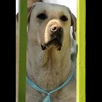 배우인 달이의 대표 이미지