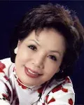 가수인 정향숙의 대표 이미지